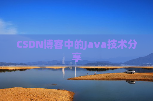 CSDN博客中的Java技术分享